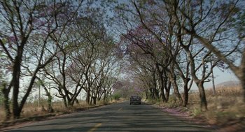 Movie still from “And Your Mother Too” (2001), directed by Alfonso Cuarón – A car driving down a road surrounded by purple trees; Extreme Wide shot, Low angle