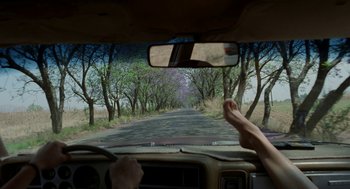 Movie still from “And Your Mother Too” (2001), directed by Alfonso Cuarón – A view from the inside of a car of a road with trees; Wide shot, Low angle