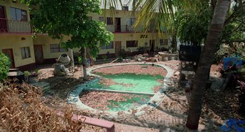 Movie still from “And Your Mother Too” (2001), directed by Alfonso Cuarón – An empty swimming pool surrounded by leaves and trees; Extreme Wide shot, High angle