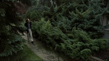 Movie still from “Angst” (1983), directed by Gerald Kargl – A man standing next to a forest of pine trees; Extreme Wide shot, High angle