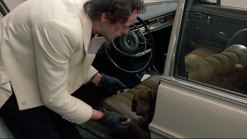 Movie still from “Angst” (1983), directed by Gerald Kargl – A man in white shirt and black gloves petting a brown dog; Medium shot, High angle