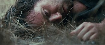 Movie still from “Animal Kingdom” (2010), directed by David Michôd – A person laying in the grass; Extreme Close Up shot, Overhead angle