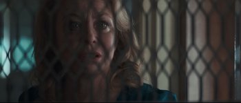 Movie still from “Animal Kingdom” (2010), directed by David Michôd – A person behind a metal fence; Close Up shot, Over the shoulder angle