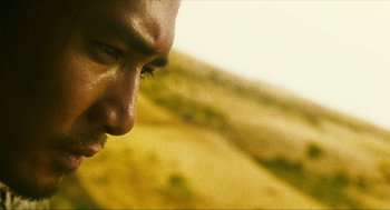 Movie still from “Ashes of Time” (1994), directed by Kar-Wai Wong – A man's face in a grassy area; Extreme Close Up shot, Low angle