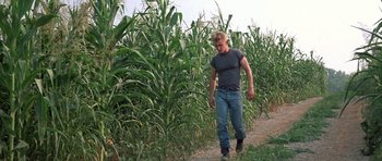 Movie still from “At Close Range” (1986), directed by James Foley – A man walking through a field of corn; Wide shot, Low angle