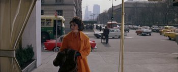 Movie still from “BUtterfield 8” (1960), directed by Daniel Mann – A woman walking down the street with a dog in her arms; Medium shot, Over the shoulder angle