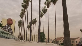 Movie still from “Baby Boy” (2001), directed by John Singleton – A row of palm trees on the side of the street; Extreme Wide shot, Low angle