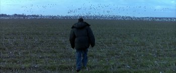 Movie still from “Ballast” (2008), directed by Lance Hammer – A man walking in a field with a flock of birds flying in the background; Wide shot, High angle