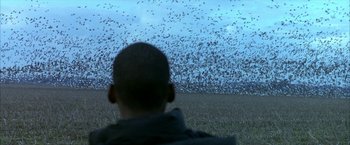 Movie still from “Ballast” (2008), directed by Lance Hammer – A man looking at a flock of birds flying in the sky; Medium shot, Over the shoulder angle