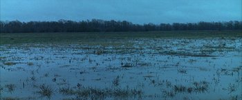 Movie still from “Ballast” (2008), directed by Lance Hammer – A flooded field with trees in the background; Extreme Wide shot, High angle