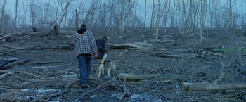 Movie still from “Ballast” (2008), directed by Lance Hammer – Two men walking a dog through a wooded area; Wide shot, High angle