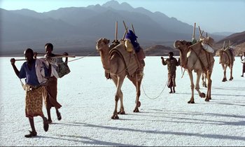 Movie still from “Beau Travail” (1999), directed by Claire Denis – A group of people riding on the back of a camel in the desert; Extreme Wide shot, Low angle