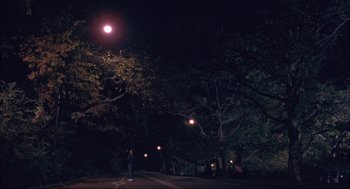 Movie still from “Before Night Falls” (2000), directed by Julian Schnabel – A person standing in the middle of a park at night; Extreme Wide shot, High angle