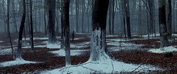 Movie still from “Behind Enemy Lines” (2001), directed by John Moore – A person standing in the middle of a forest covered in snow; Extreme Wide shot, High angle