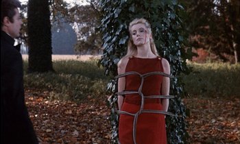 Movie still from “Belle de Jour” (1967), directed by Luis Buñuel – A woman in a red dress tied to a tree; Medium shot, Low angle