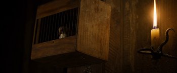 Movie still from “Beneath Hill 60” (2010), directed by Jeremy Sims – A cat sitting inside of a wooden cage; Extreme Close Up shot, Low angle