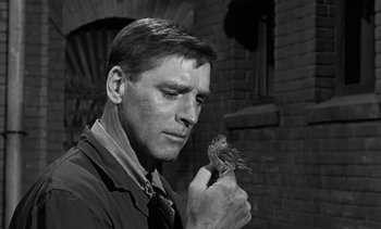 Movie still from “Birdman of Alcatraz” (1962), directed by John Frankenheimer – A black and white photo of a man holding a small bird; Close Up shot, Low angle