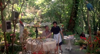 Movie still from “Blame It on Rio” (1984), directed by Stanley Donen – A woman standing next to a table in a garden; Wide shot, High angle