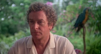 Movie still from “Blame It on Rio” (1984), directed by Stanley Donen – A person wearing a white shirt; Close Up shot, Over the shoulder angle