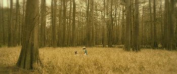 Movie still from “Blaze” (2018), directed by Ethan Hawke – A woman and a child walking through a field of tall grass; Extreme Wide shot, High angle