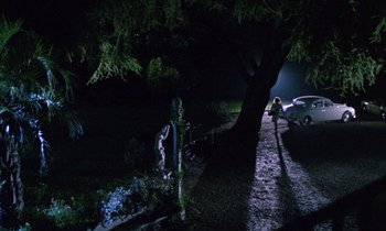 Movie still from “Blood and Black Lace” (1964), directed by Mario Bava – A person standing next to a tree at night; Extreme Wide shot, High angle