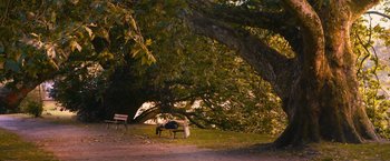 Movie still from “Blue Is the Warmest Colour” (2013), directed by Abdellatif Kechiche – A person sitting on a bench under a large tree; Extreme Wide shot, High angle