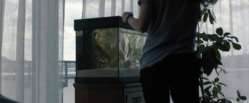 Movie still from “Blue My Mind” (2017), directed by Lisa Brühlmann – A man standing in front of a fish tank; Medium shot, High angle