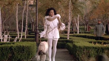 Movie still from “Boomerang” (1992), directed by Reginald Hudlin – A woman walking a dog on a leash in a park; Wide shot, High angle