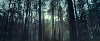 Movie still from “Borg vs. McEnroe” (2017), directed by Janus Metz – The sun is shining through the trees in the woods; Extreme Wide shot, Low angle