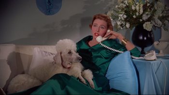 Movie still from “Breakfast at Tiffany's” (1961), directed by Blake Edwards – A woman sitting on a couch talking on the phone with a dog laying next to her; Medium shot, Low angle
