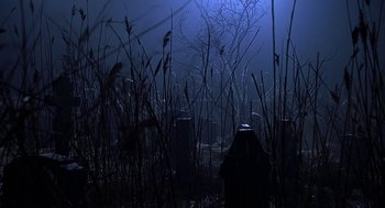 Movie still from “Bride of Chucky” (1998), directed by Ronny Yu – A dark forest with tall grass in the foreground; Wide shot, Low angle