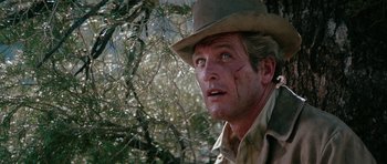 Movie still from “Butch Cassidy and the Sundance Kid” (1969), directed by George Roy Hill – A person wearing a hat near a tree; Close Up shot, Low angle