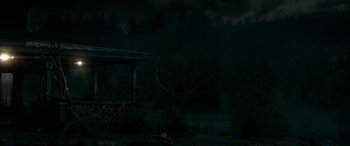 Movie still from “Cabin Fever” (2016), directed by Travis Zariwny – A tree in the middle of a dark forest at night; Extreme Wide shot, Low angle