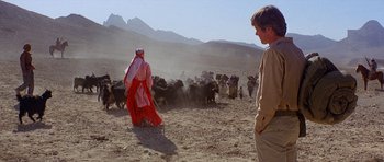 Movie still from “Caravans” (1978), directed by James Fargo – A man and a woman watching a herd of cattle; Wide shot, Low angle