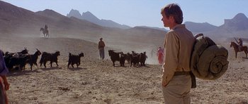 Movie still from “Caravans” (1978), directed by James Fargo – A man standing in the middle of a field with a herd of animals; Wide shot, Low angle