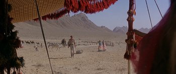 Movie still from “Caravans” (1978), directed by James Fargo – A group of people standing in the desert near a herd of animals; Wide shot, High angle