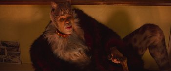 Movie still from “Cats” (2019), directed by Tom Hooper – A person dressed up as a cat in a fur coat; Close Up shot, High angle