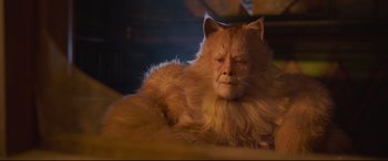 Movie still from “Cats” (2019), directed by Tom Hooper – An orange fluffy cat laying on top of a bed; Close Up shot, High angle