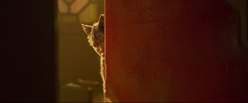 Movie still from “Cats” (2019), directed by Tom Hooper – A cat is peaking its head over a wall; Close Up shot, Over the shoulder angle
