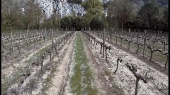 Movie still from “Cave of Forgotten Dreams” (2010), directed by Werner Herzog – A field with a bunch of trees in the middle of it; Extreme Wide shot, Overhead angle