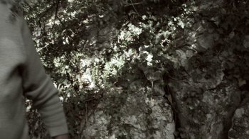 Movie still from “Cave of Forgotten Dreams” (2010), directed by Werner Herzog – A person standing in front of a rock wall; Medium shot, Low angle
