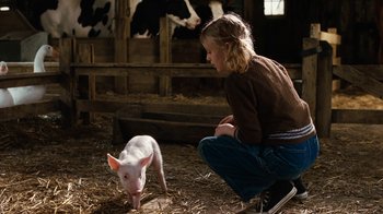 Movie still from “Charlotte's Web” (2006), directed by Gary Winick – A woman kneeling down next to a baby pig in a barn; Medium shot, High angle