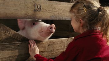 Movie still from “Charlotte's Web” (2006), directed by Gary Winick – A little girl is petting a pig in a pen; Close Up shot, High angle