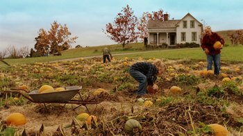 Movie still from “Charlotte's Web” (2006), directed by Gary Winick – A person in a pumpkin patch picking pumpkins from the ground; Extreme Wide shot, High angle