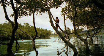 Movie still from “City of God” (2002), directed by Kátia Lund – A man standing on top of a tree in the middle of a river; Extreme Wide shot, High angle