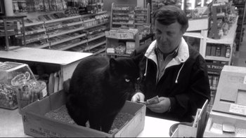 Movie still from “Clerks” (1994), directed by Kevin Smith – A man and a black cat in a store; Medium shot, High angle