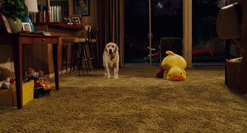 Movie still from “Click” (2006), directed by Frank Coraci – A dog standing in a living room next to a stuffed animal duck; Wide shot, High angle