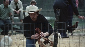Movie still from “Cockfighter” (1974), directed by Monte Hellman – A man in a cowboy hat is petting a chicken in a pen; Medium shot, Low angle
