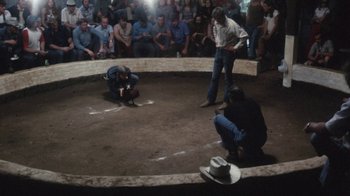 Movie still from “Cockfighter” (1974), directed by Monte Hellman – A group of people sitting in a circle watching a rodeo; Wide shot, High angle