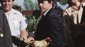 Movie still from “Cockfighter” (1974), directed by Monte Hellman – A man in a black suit holding a chicken; Medium shot, Over the shoulder angle